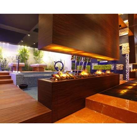 Электрокамин Dimplex Cassette L в Витебске