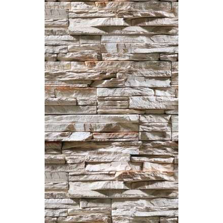 Фиброцементная плита Фаспан Дикий камень №1007 Вертикаль (1200х800х8 мм) купить в Витебске