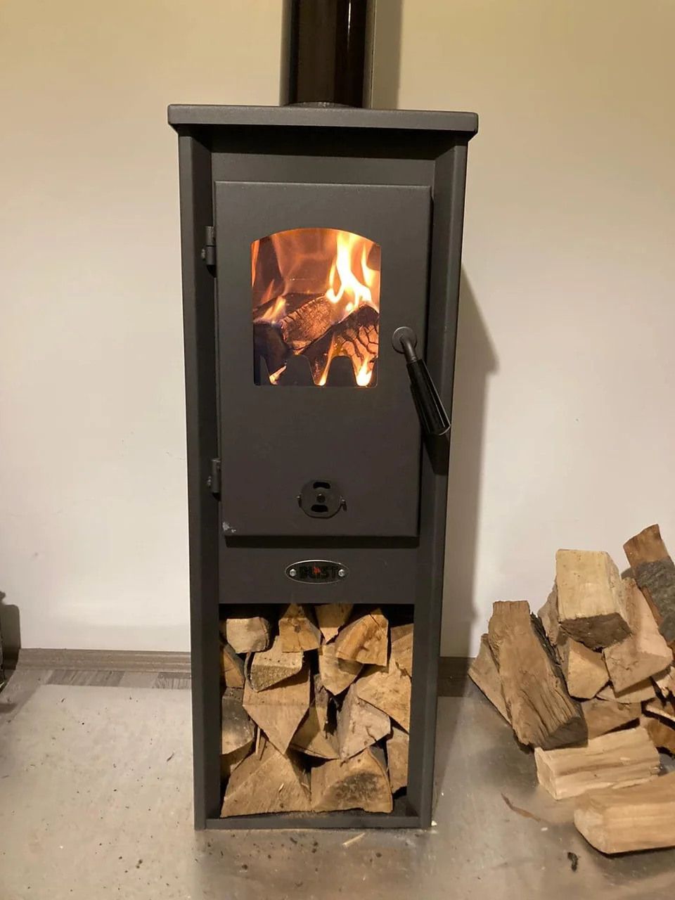 Печь-камин Blist Ekonomik Lux LM N стальная дверца Амазонка бай фото в Витебске