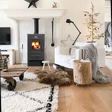 Печь-камин Blist B 2 Амазонка бай фото в Витебске