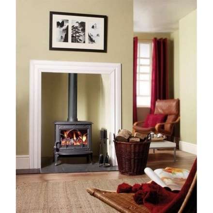 Чугунная печь камин Jotul F100 BP в Витебске