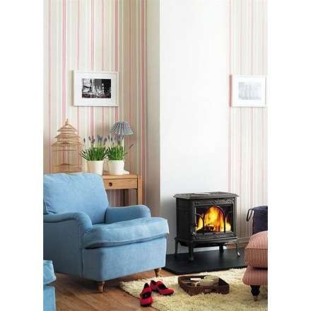 Чугунная печь камин Jotul F100 BP в Витебске