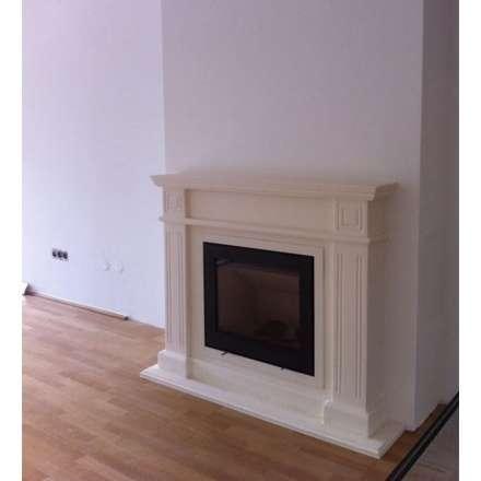 Каминная топка Lotus H570 в Витебске