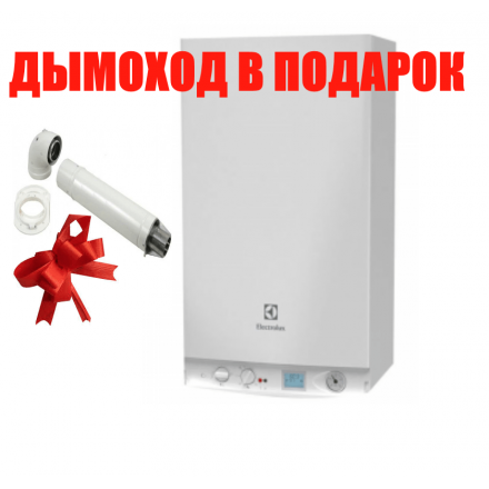 Газовый котел Electrolux GCB 30 Basic Space Duo Fi в Витебске