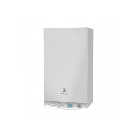 Газовый котел Electrolux GCB 24 Basic Space Duo Fi в Витебске