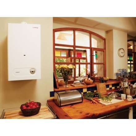 Газовый котел Protherm Тигр 24 KTZ в Витебске