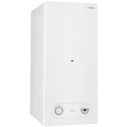 Газовый котел Protherm Тигр 24 KTZ купить в Витебске