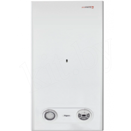 Газовый котел Protherm Тигр 24 KTZ в Витебске